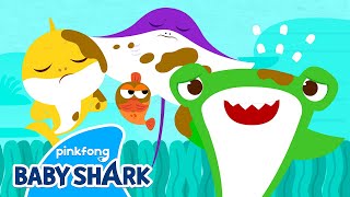 I'm Sorry, My Friend! | Baby Shark's Day at School | Back to School 