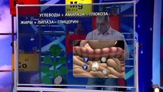 Сергей Агапкин для чего нам ферменты?