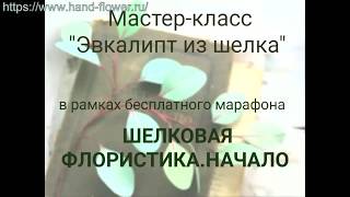 Презентация Мастер   класс Эвкалипт из шелка