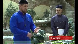 На Черноречье появится зона отдхыха Чечня.