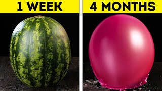 30 UNEXPECTED WAYS OF KEEPING FOOD FRESH MUCH LONGER