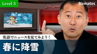 Bizmates Trendy News 24 "Snow in Tokyo"