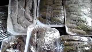 طريقة تسوية المحشي المحفوظ في الفريزر بكل اسراره✔✔