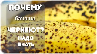 Почему бананы начинают чернеть точками?