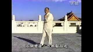 太極鬆身五法 Taichi Relaxation's 5 Techniques