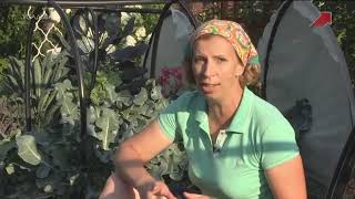 "Фитоаптека", 6 серия. Марина Рыкалина и Виталий Декабрев. "Усадьба"