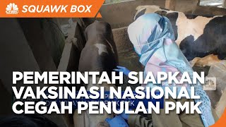 Tekan Penularan PMK, Pemerintah Siapkan Vaksinasi Nasional