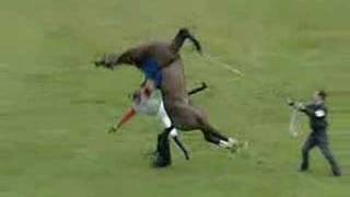 Horse VS Man