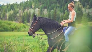Whole Horse | Holistic Equine Rehabilitation with Dr. Raquel Butler