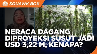 Ekspor CPO Dilarang, Nasib Neraca Dagang RI Gimana?