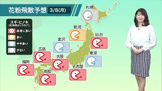 8日(月)の花粉飛散予想／名古屋や大阪などで"非常に多い"予想