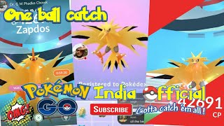 Pokémon GO Zapdos Raid(One ball catch)