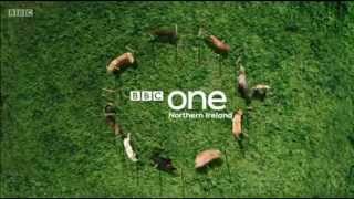 BBC One Northern Ireland: Original "Dog Display" Ident (2015)
