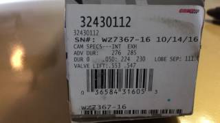 4.8 Ls BTR stage 4 truck cam