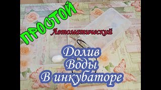 Увлажнитель Для Инкубатора Своими руками