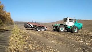 Дискование после уборки подсолнуха, Т-150К + БДТ-7 /Moldova