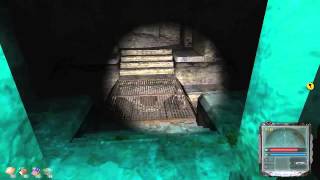 Прохождение S.T.A.L.K.E.R. Мёртвый город # 3 Вертолёты, собаки