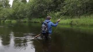 Илья Пурышев, F-F Little Emerger