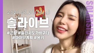 [LIVE] 솔라시도가 조금 바뀔 것 같아요...
