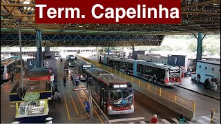 Terminal Capelinha (Brazilian Buses)