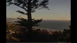Oregon Coast Vacation Rental - Sky Beach Cabin