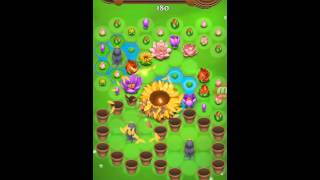 Blossom blast saga level 216, как пройти уровень?