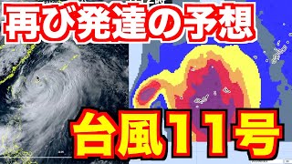 大型の台風11号接近で先島諸島は暴風雨 来週は日本海に進む予想