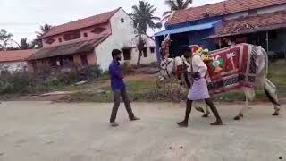 Ramanagara Jayapura Chamundeshwari Ammanavara Pavaada Basavappa