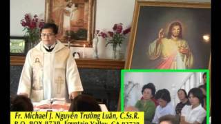 Bài Giảng Thánh Lễ ST Lòng Chúa Thương Xót, 06-06-09. Cha Trường Luân. Phần 2
