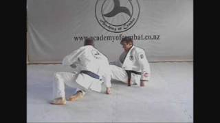 BJJ Basic Guard Sweeps