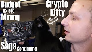 Mining Journey Continues with more Mining Gear and Crypto Kitty!
