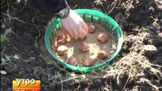 Подготовка дачи к весне. Утро с Губернией. Gubernia TV