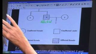 Life Sciences Paper 1 -  Segment2 Live Rpt From 15 October 2011