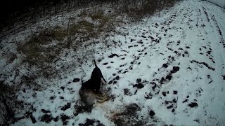 Охота На Зайца! Новые Места! Отличный Выстрел!