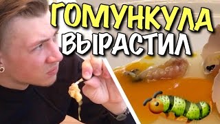 VLOG: Я ВЫРАСТИЛ ГОМУНКУЛА #1 (10 дней)?? / Андрей Мартыненко