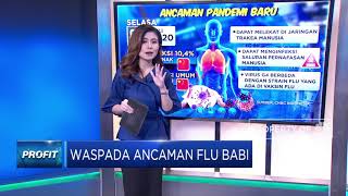 Waspada Ancaman Flu Babi di Tengah Pandemi