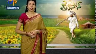 JaiKisan TS | 17th Dec '17th | పీతల సాగును లాభాల నిధిగా మారిన యువకుడు