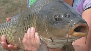 Ловля карпа от которого "меня всю трясет". My fishing.