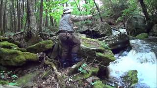 Flyfishing in the Catskills, small brook