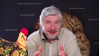 Наука и Мозг |Чувства Человека| 016