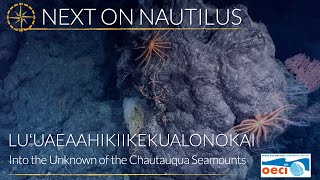 Next on Nautilus: Luʻuaeaahikiikekualonokai - Into the Unknown of Chautauqua Seamounts