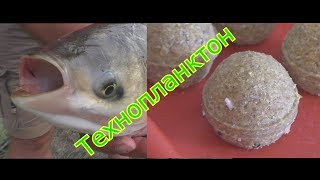 Как приготовить технопланктон для ловли толстолобика.My fishing