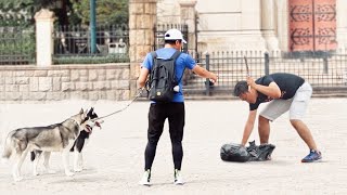 Abusing dog on the streets of China （Social Experiment）中国街头当众虐狗，会有人制止吗？