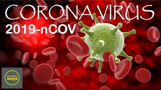 Coronaviruses (Wuhan Virus Outbreak)| Novel Coronavirus(2019-nCOV) | The Truth About The Coronavirus