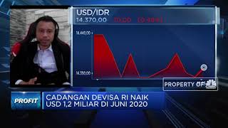 Ekonom: Saat Pandemi, Posisi Cadev Stabil di Kisaran USD 130 M
