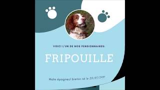 FRIPOUILLE