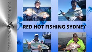 Fishing Report | The Hook and The Cook | May