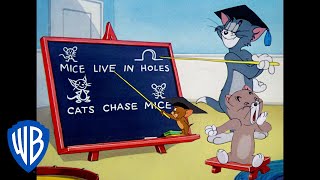 Tom & Jerry in italiano | A Lezione Col Professore Tom 