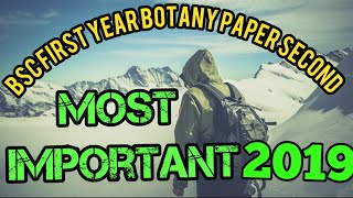 Bsc botany first year second paper /most important questions paper 2019 /bsc students जरूर dekhain
