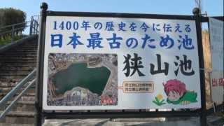 Japan's oldest　マッハマスター散歩　日本最古のため池　狭山池 (1